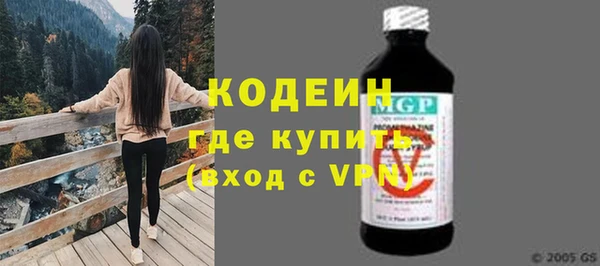 шишки Балахна