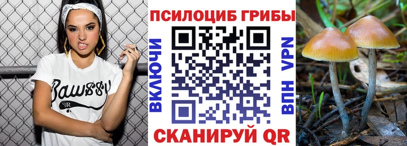 продажа наркотиков  Красный Сулин  Галлюциногенные грибы ЛСД 